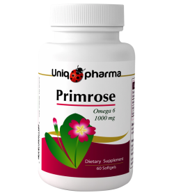 primrose_2137040447